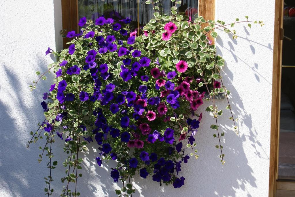 Ferienwohnung Gertraud und Peter Geisler Finkenberg Exterior foto